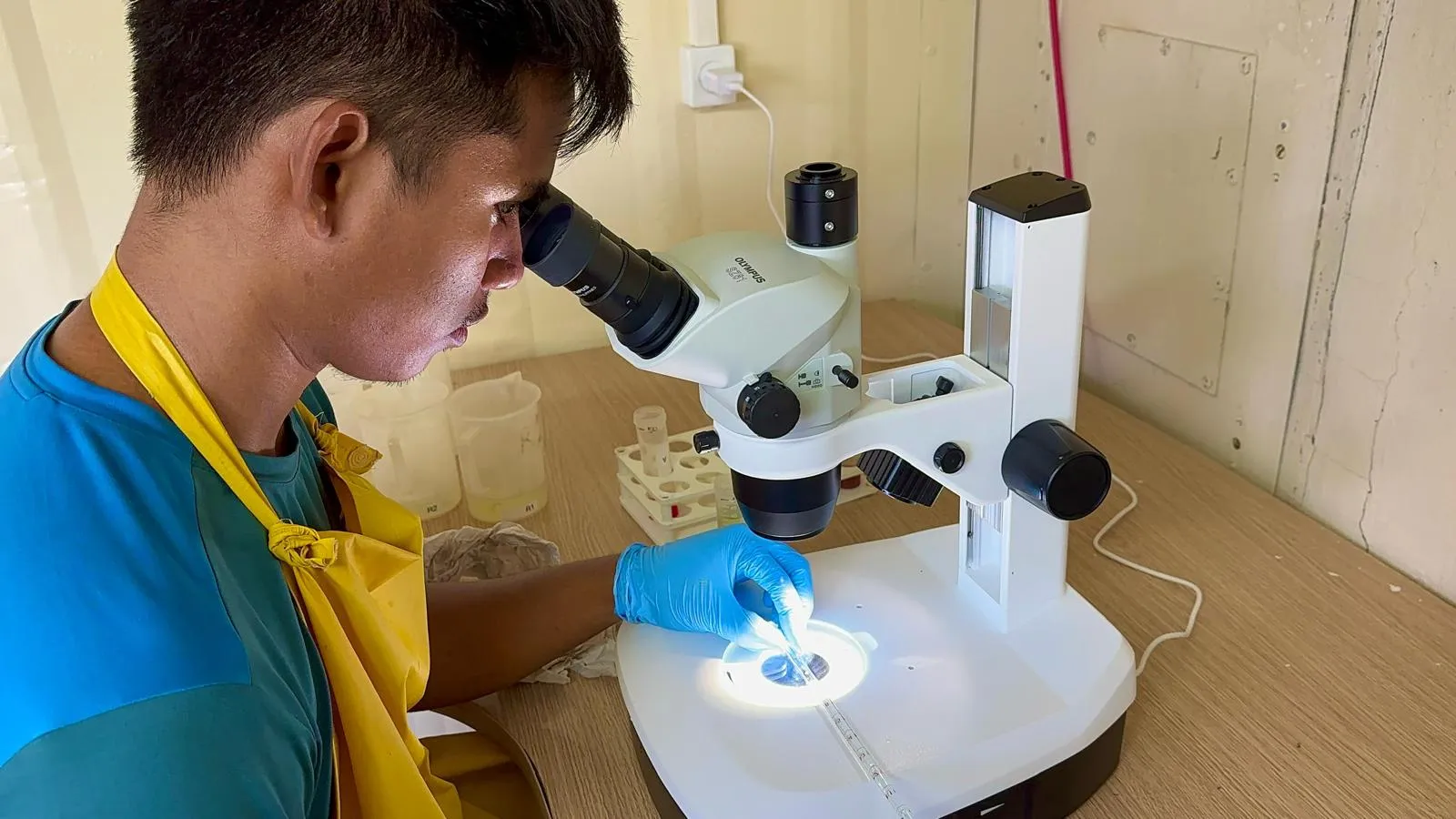 global-skills-image11