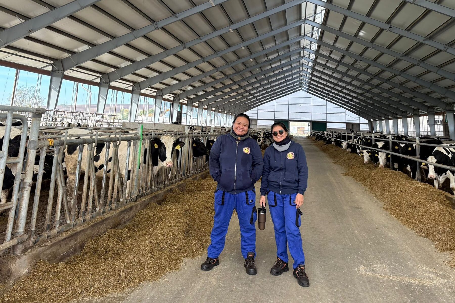 global-skills-images-18